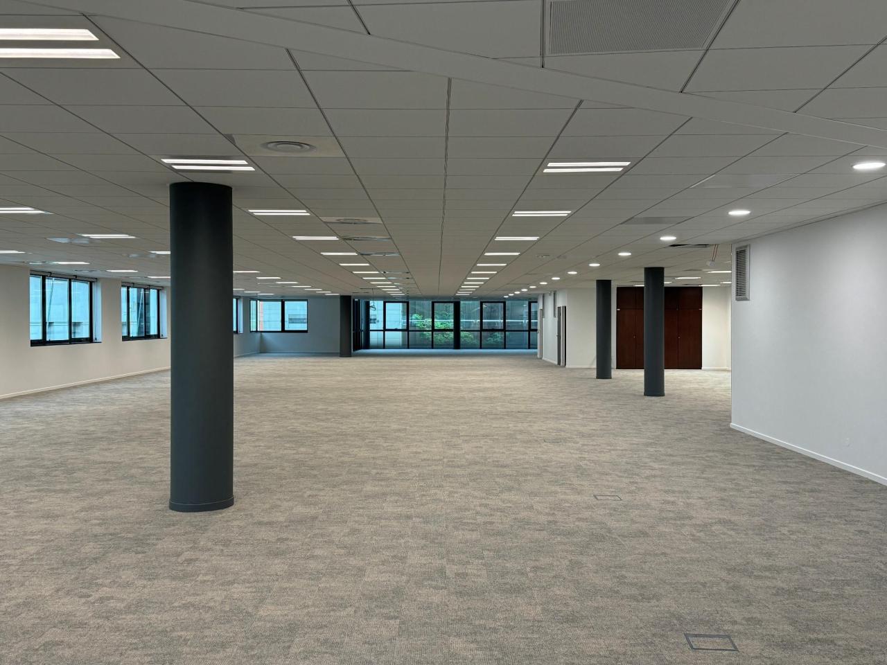 Bureau Lyon 5704m² Location bureau Lyon Rhône OLBUR2109182 8